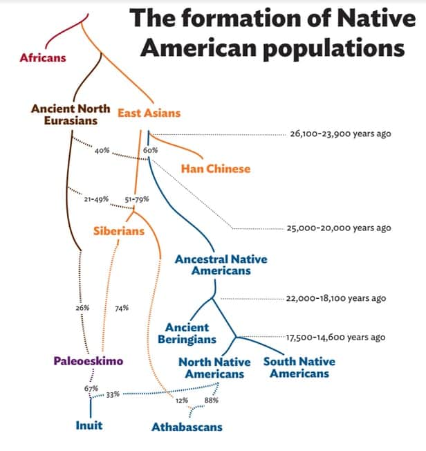 Расчетный график, показывающий миграцию людей в Америку